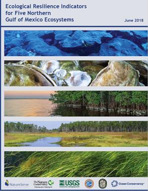Eco Indicators Report Cover
