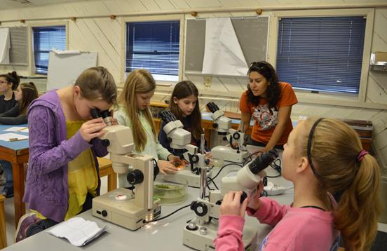 Microscopes in the classroom